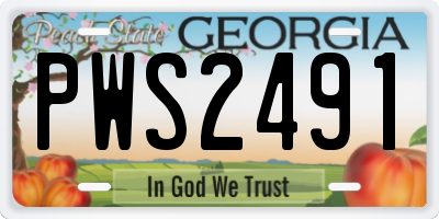GA license plate PWS2491