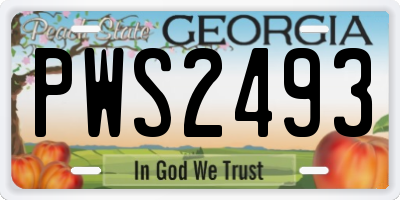 GA license plate PWS2493