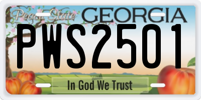 GA license plate PWS2501