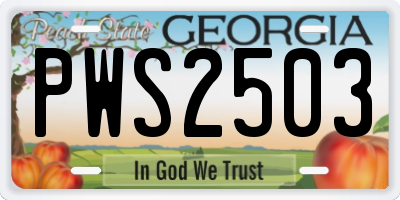 GA license plate PWS2503