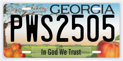 GA license plate PWS2505