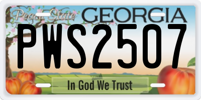 GA license plate PWS2507
