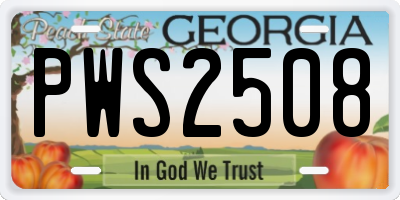 GA license plate PWS2508