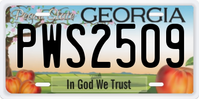 GA license plate PWS2509