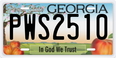 GA license plate PWS2510