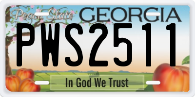 GA license plate PWS2511