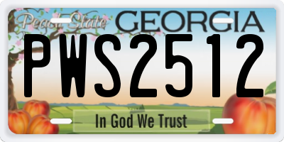 GA license plate PWS2512