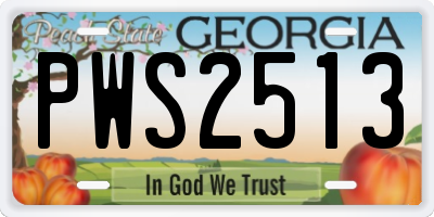 GA license plate PWS2513