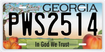 GA license plate PWS2514
