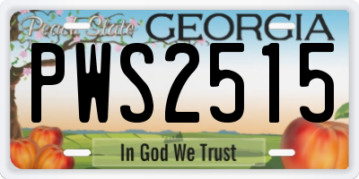 GA license plate PWS2515