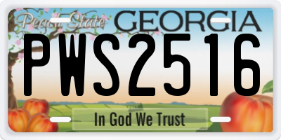 GA license plate PWS2516