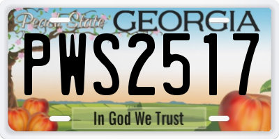 GA license plate PWS2517