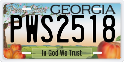 GA license plate PWS2518
