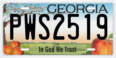 GA license plate PWS2519