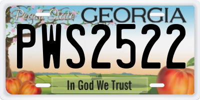 GA license plate PWS2522