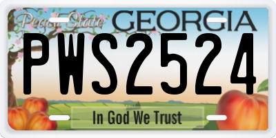 GA license plate PWS2524