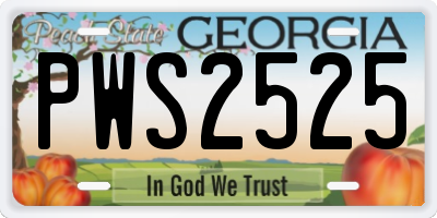 GA license plate PWS2525