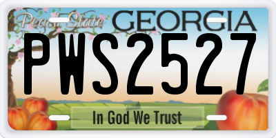 GA license plate PWS2527
