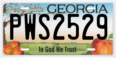 GA license plate PWS2529