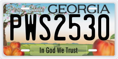 GA license plate PWS2530