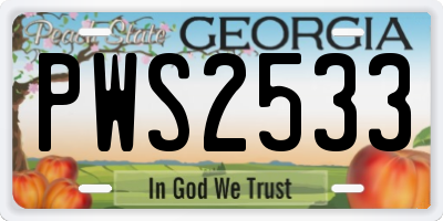 GA license plate PWS2533