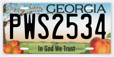 GA license plate PWS2534