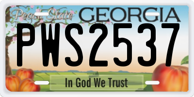 GA license plate PWS2537