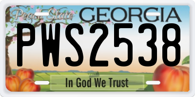GA license plate PWS2538