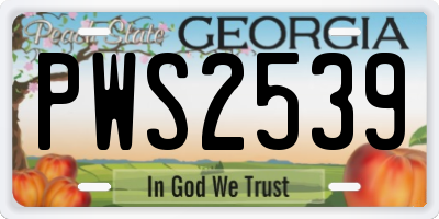 GA license plate PWS2539