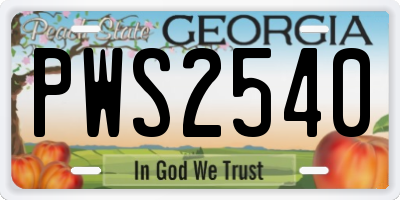 GA license plate PWS2540