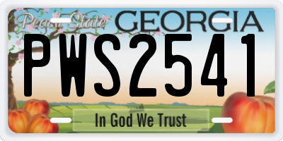 GA license plate PWS2541