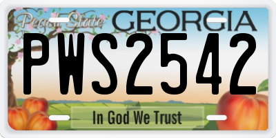 GA license plate PWS2542