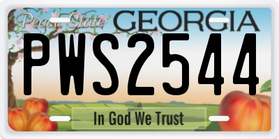 GA license plate PWS2544