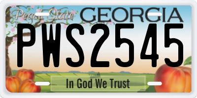 GA license plate PWS2545