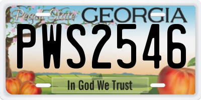 GA license plate PWS2546