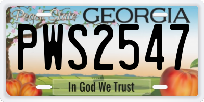 GA license plate PWS2547