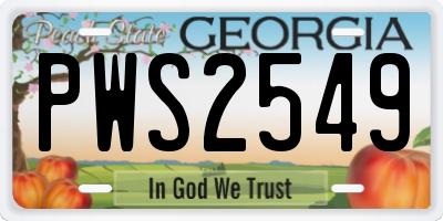 GA license plate PWS2549