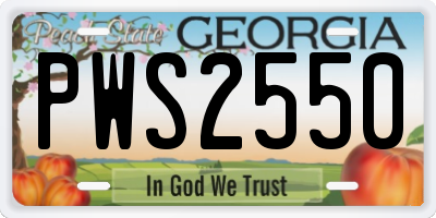 GA license plate PWS2550