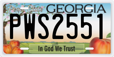 GA license plate PWS2551