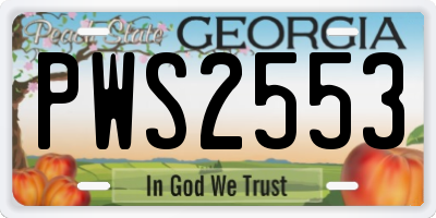 GA license plate PWS2553