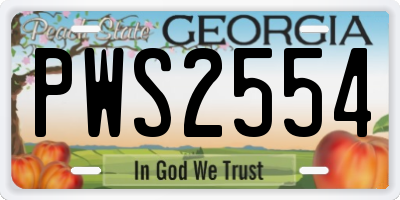 GA license plate PWS2554