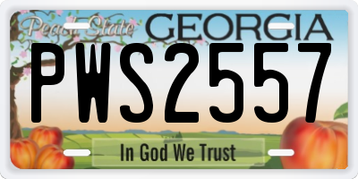 GA license plate PWS2557