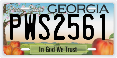 GA license plate PWS2561