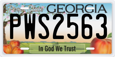 GA license plate PWS2563