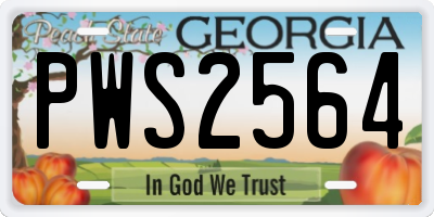 GA license plate PWS2564