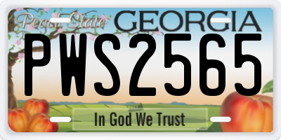 GA license plate PWS2565