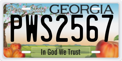 GA license plate PWS2567