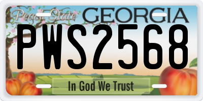 GA license plate PWS2568