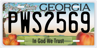 GA license plate PWS2569