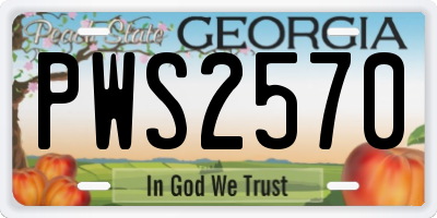 GA license plate PWS2570